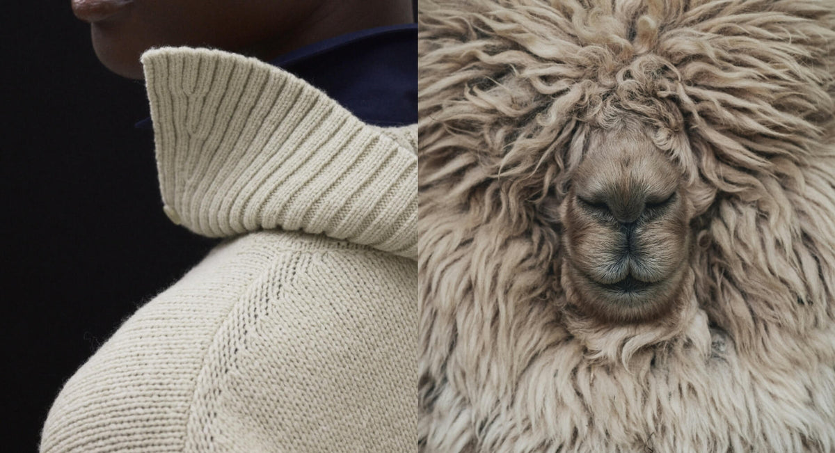 More Than Wool