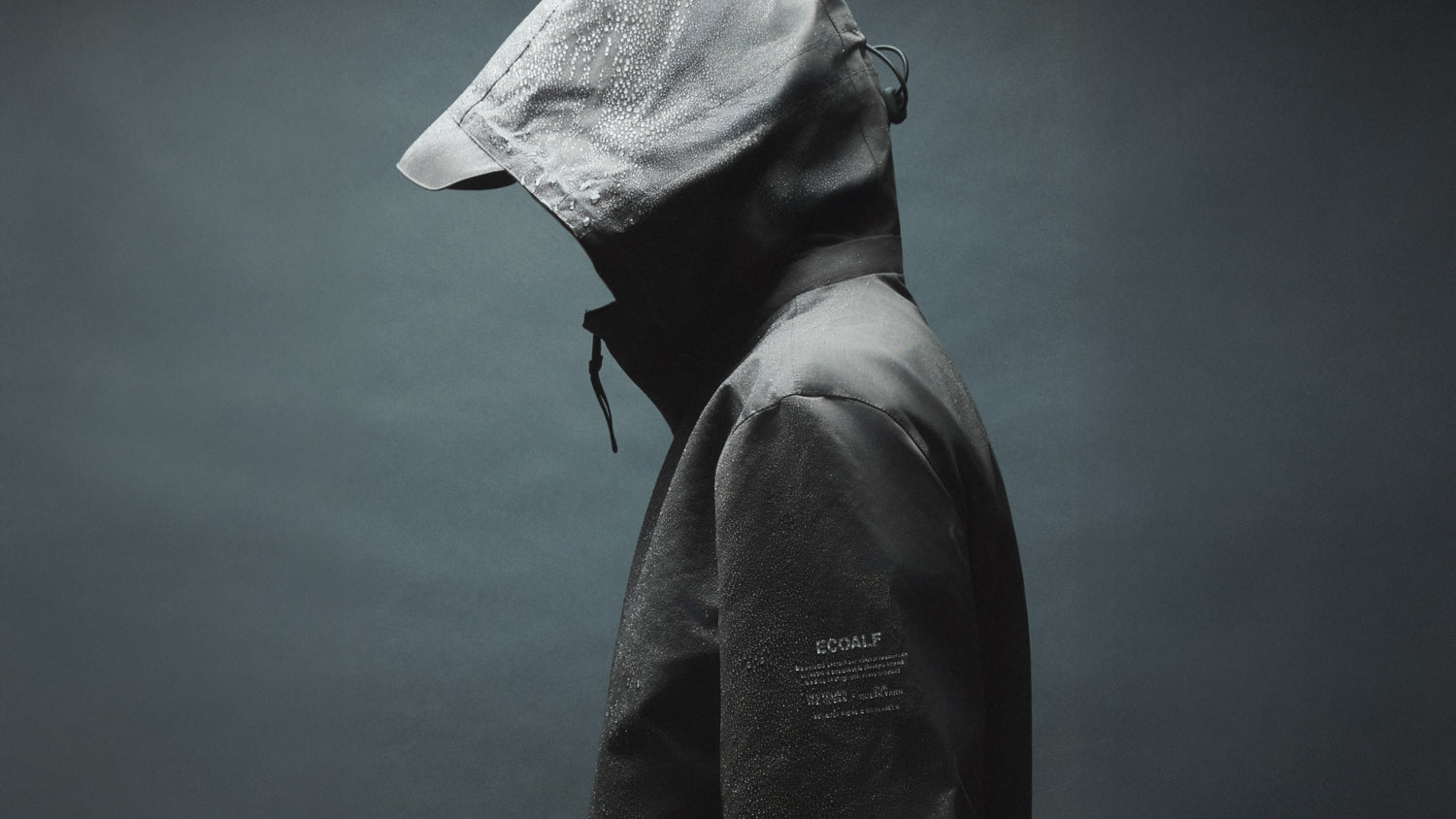 Ecoalf featured image