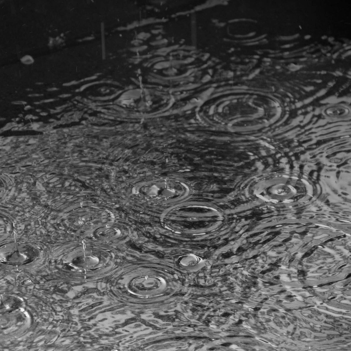 Our solution to the unexpected weather changes. New-generation tech meets circularity.