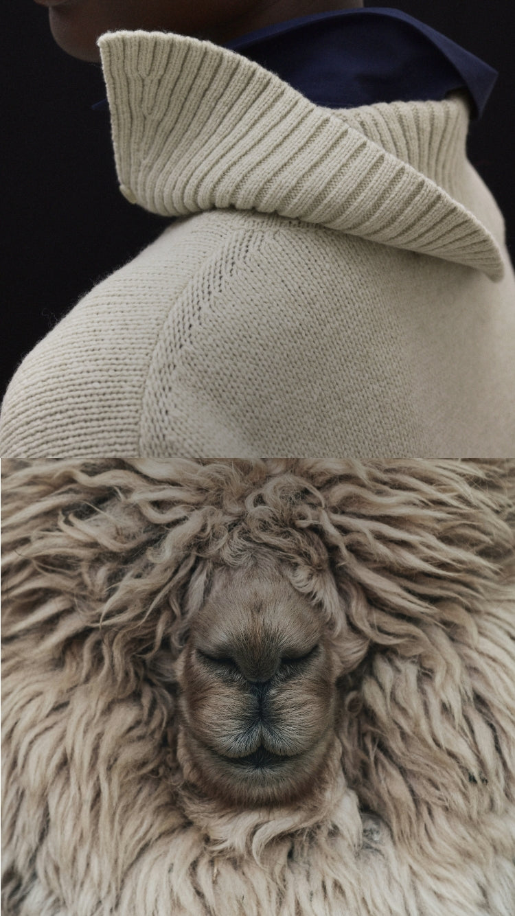 More Than&nbsp;Wool