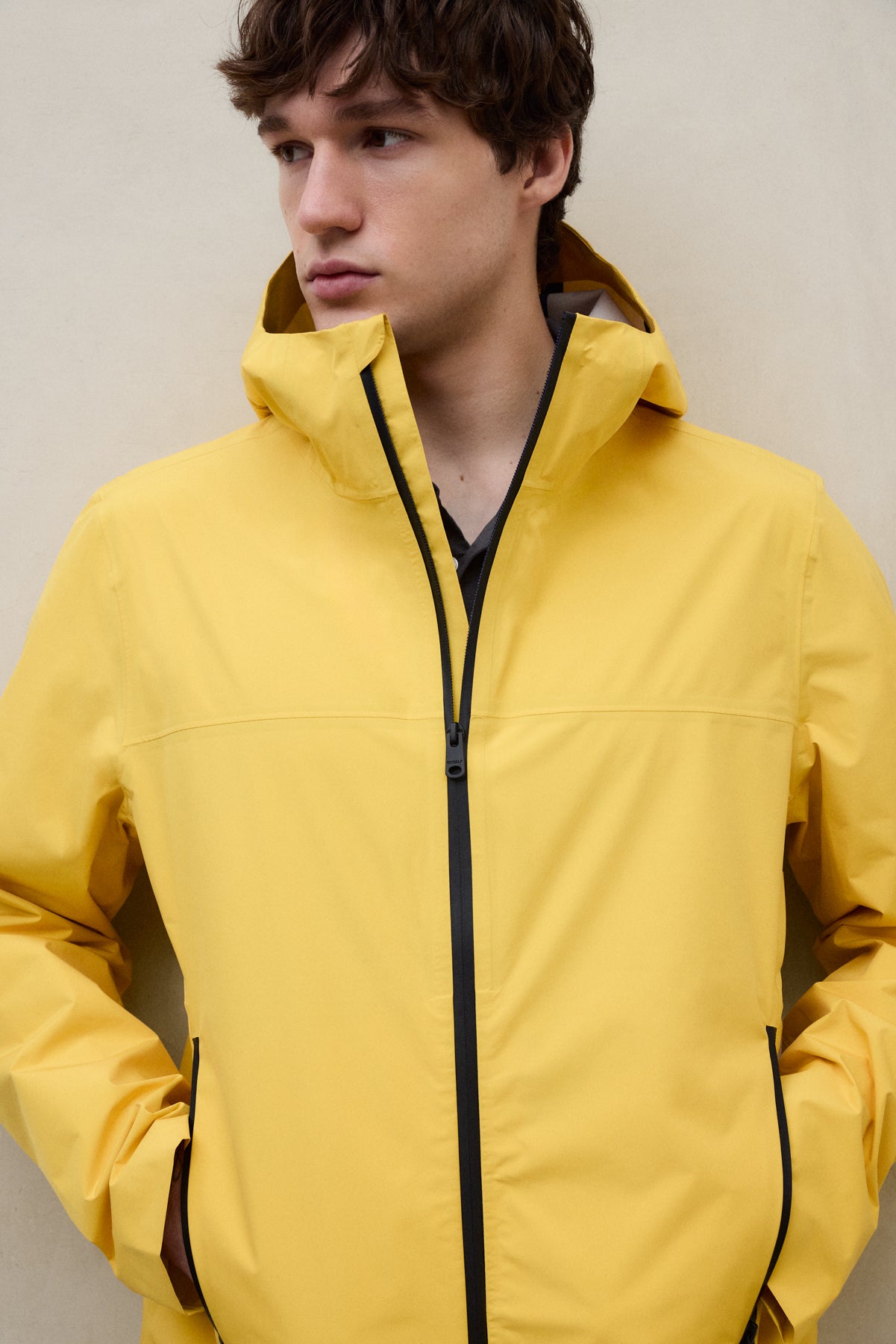 JACKE DARWIN GELB