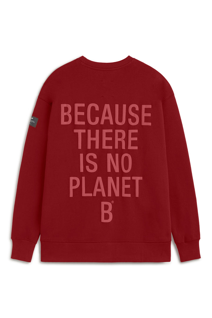 RED STORM HOODIE