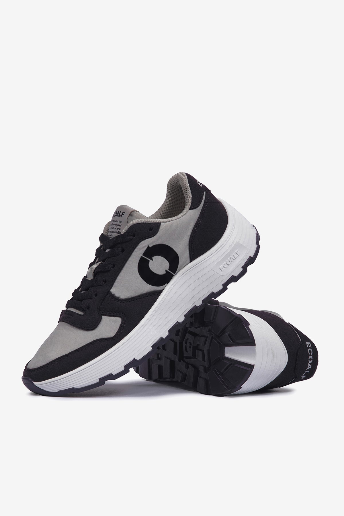 PURPLE HARVERD TRAINERS