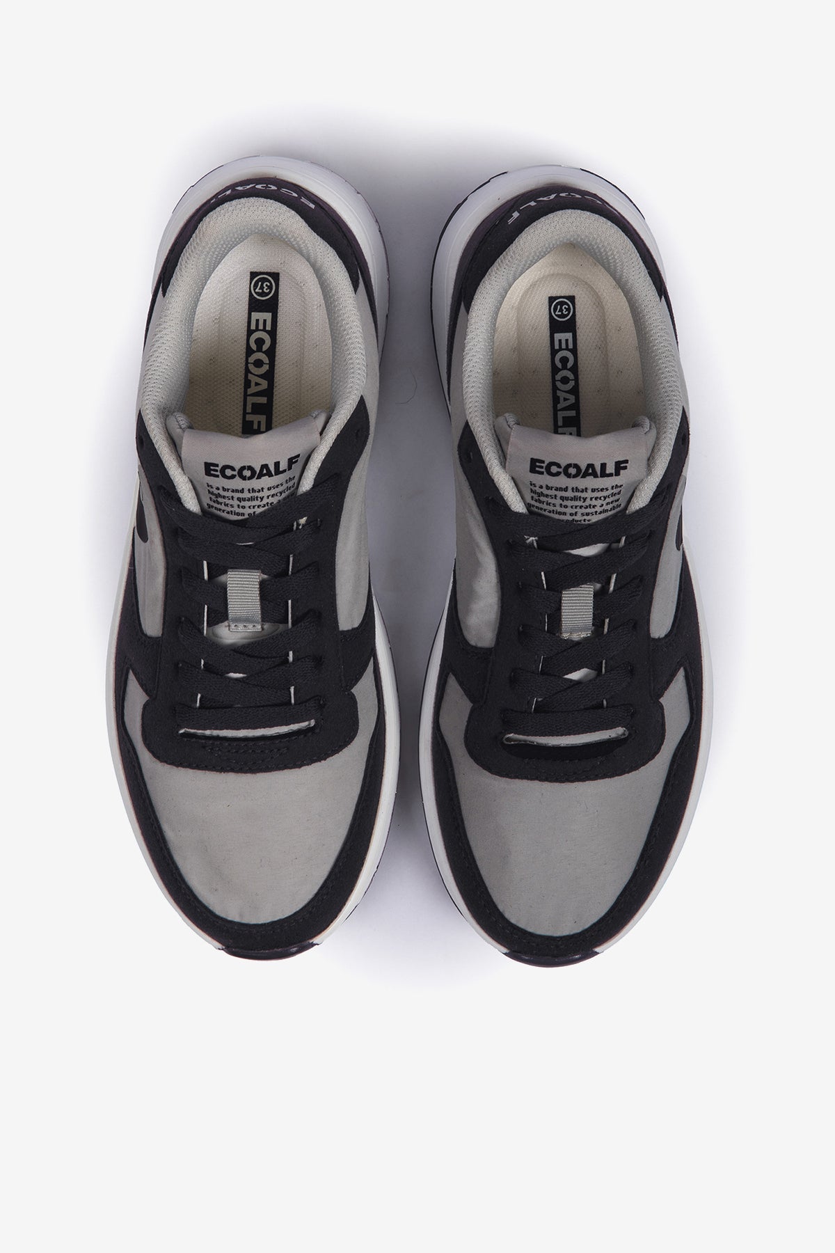 PURPLE HARVERD TRAINERS