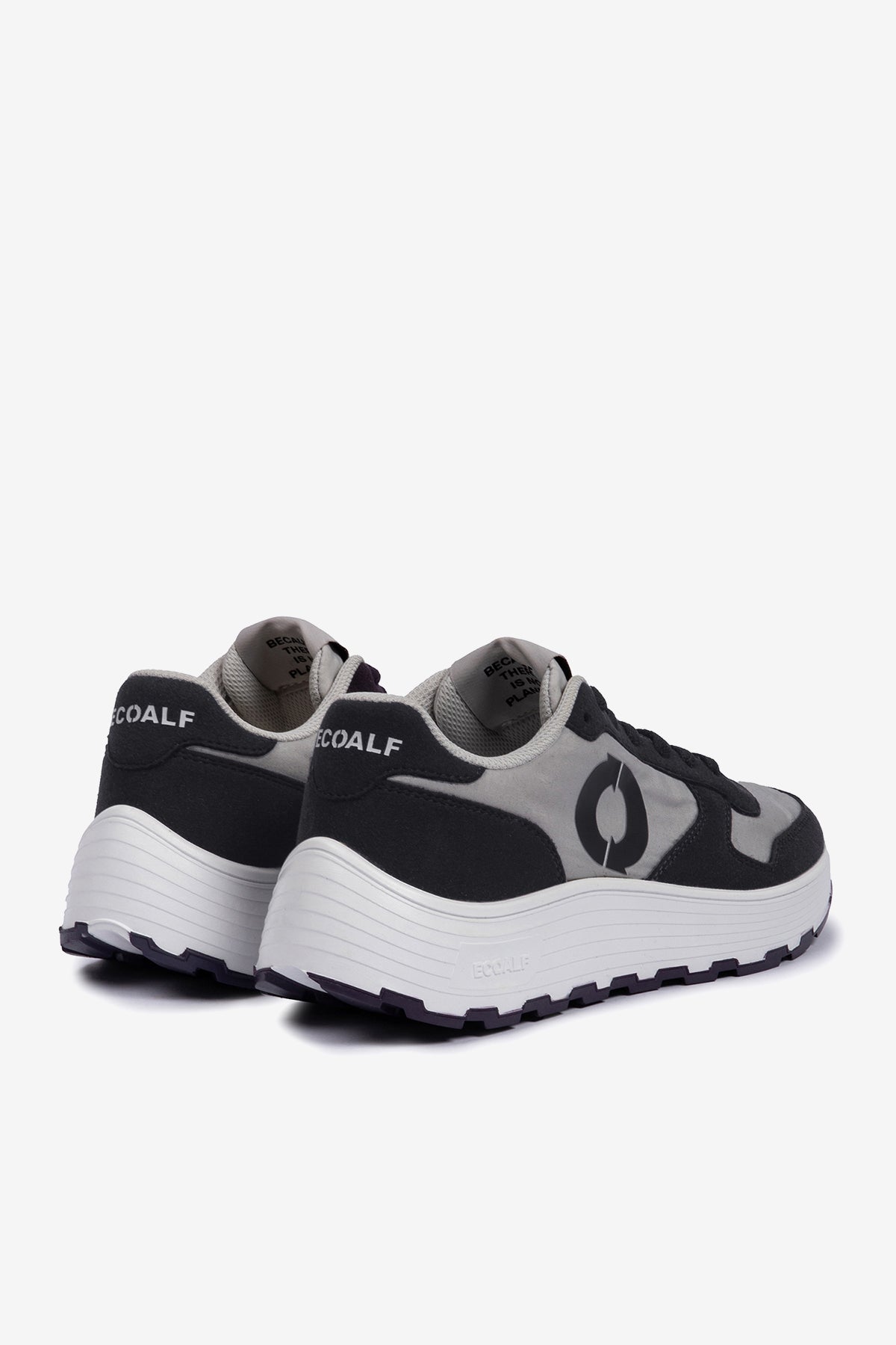 PURPLE HARVERD TRAINERS