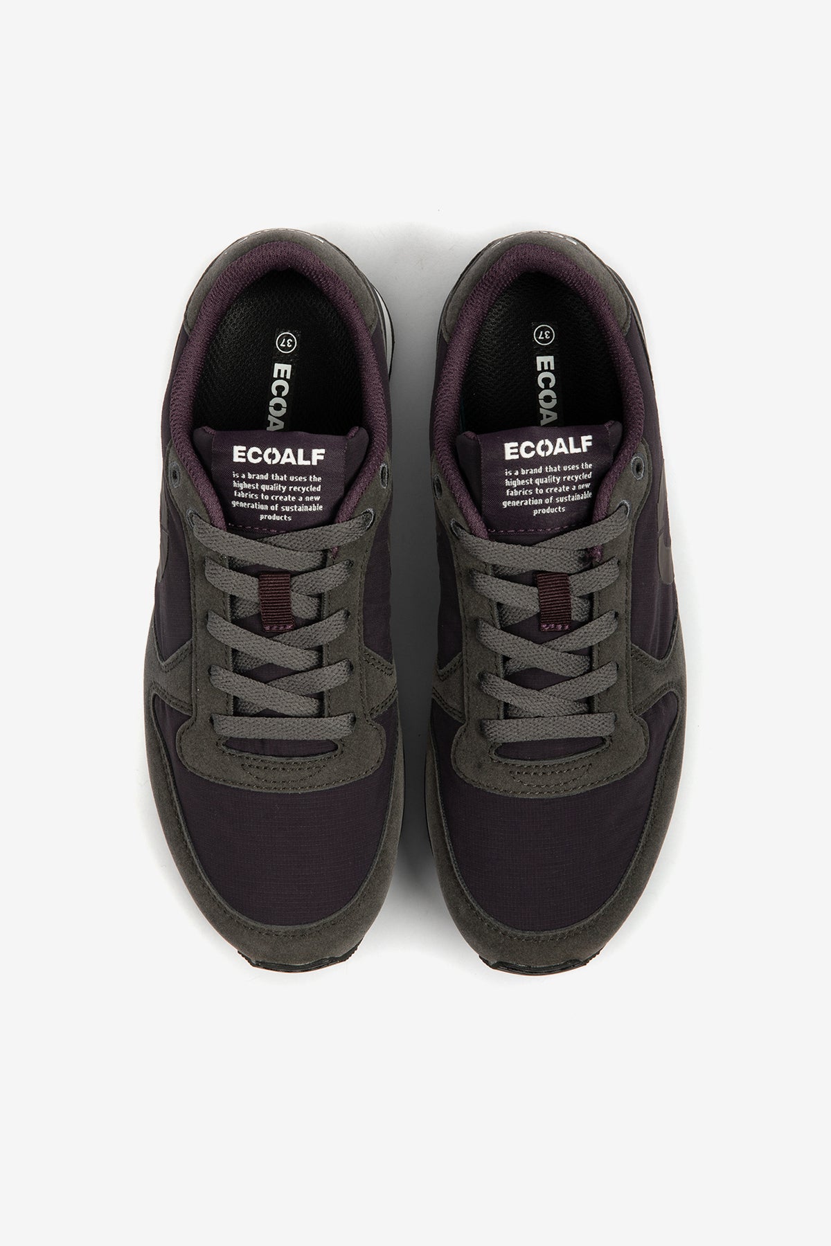 BASKETS UCLAALF VIOLETTES