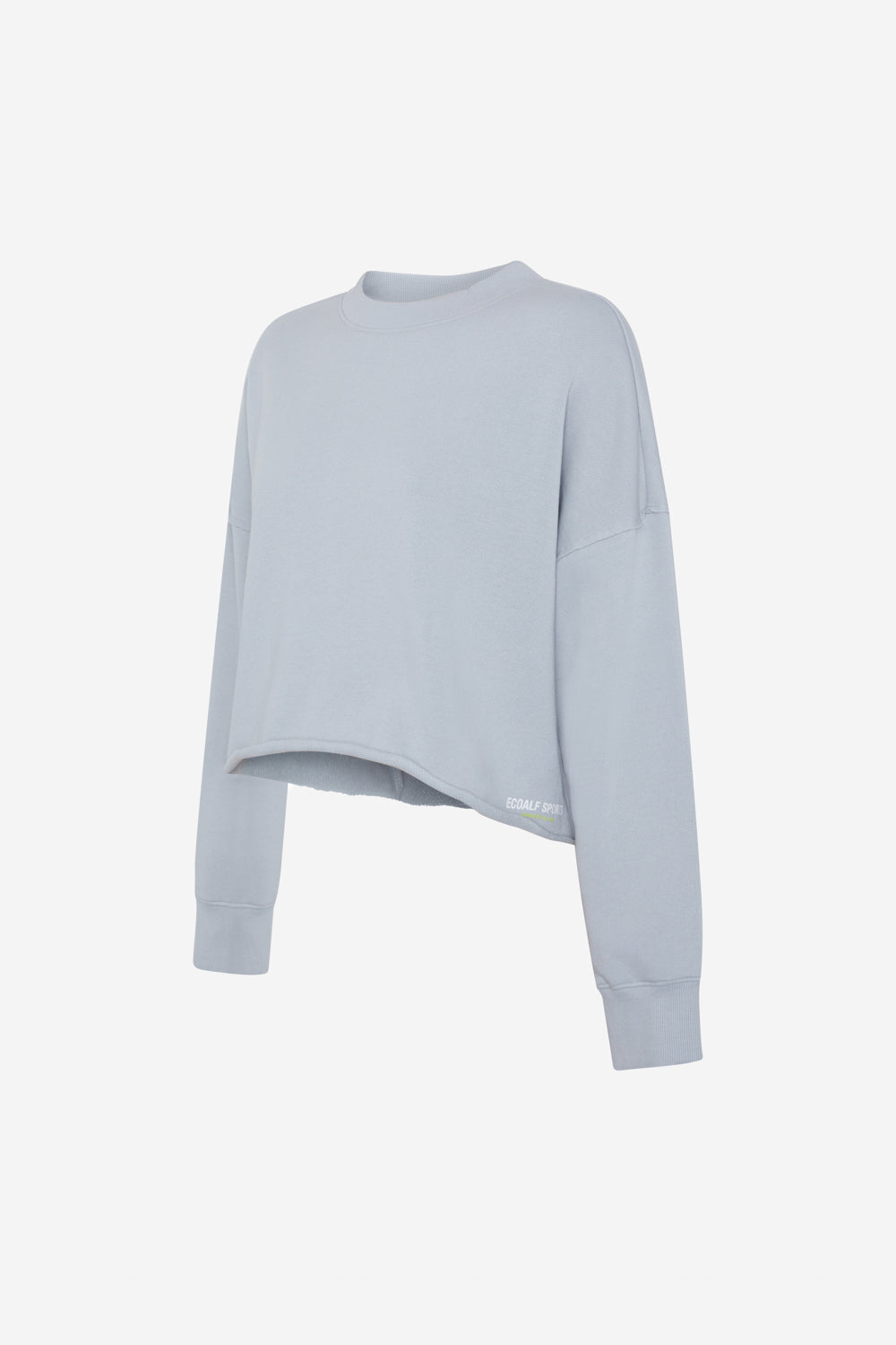 GREY SWEATSHIRT DELAN 