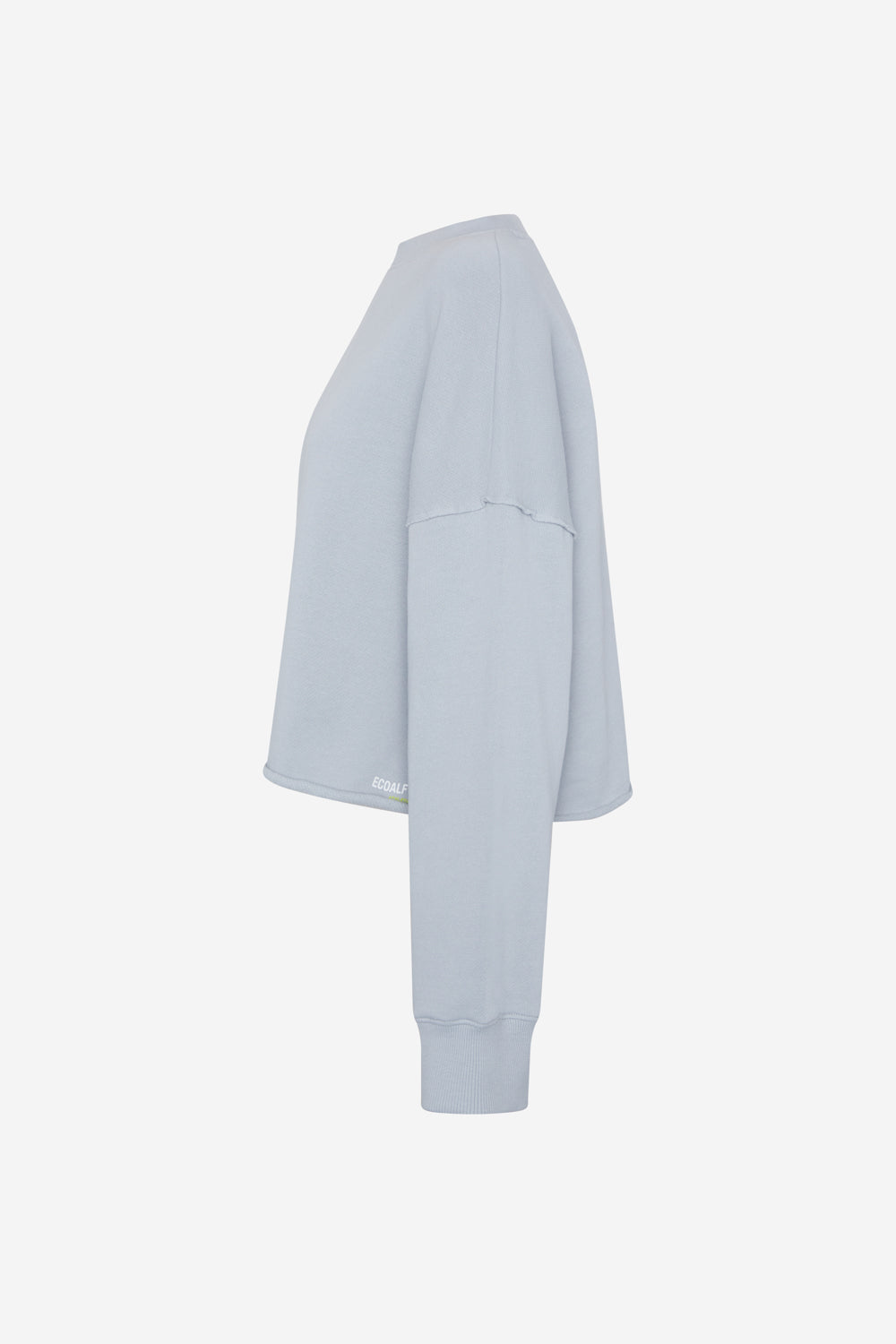 GREY SWEATSHIRT DELAN 