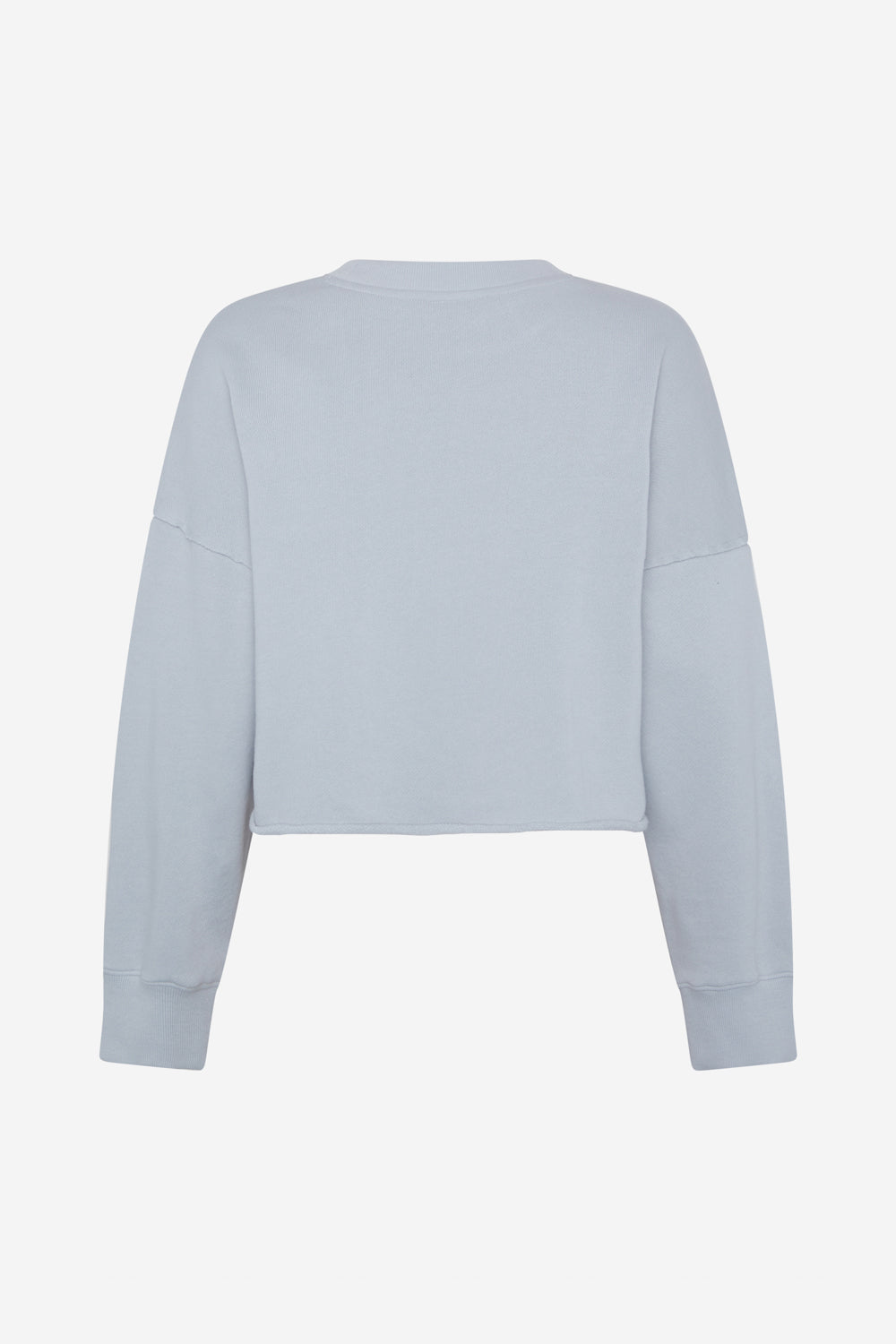 GREY SWEATSHIRT DELAN 