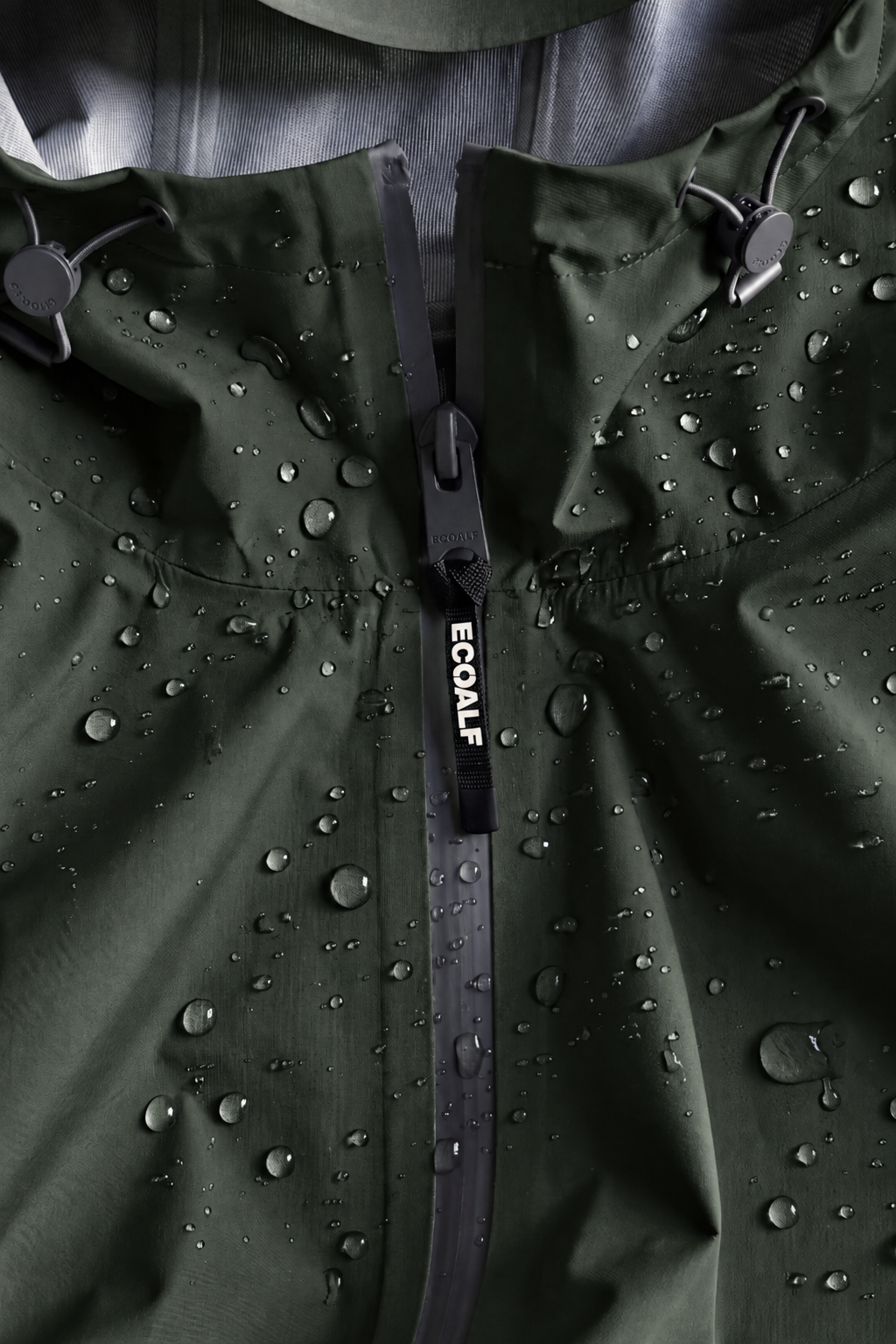VESTE DILUVIO VERTE